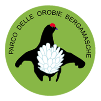 logo2