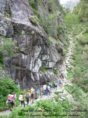 Youth at the Top 2017 - Parco dell'Adamello &copy; Giancarlo Bazzoni