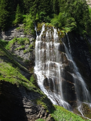 R&eacute;serve Naturelle de Sixt-Passy &copy; Letizia Arneodo