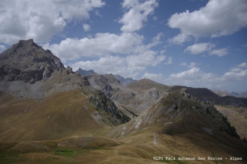 LPO Paca (antenne Hautes-Alpes) (ANNULÉ)