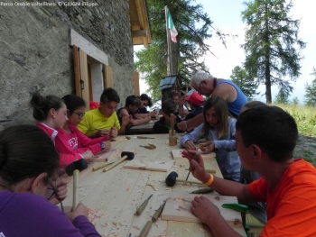 SCULTORI DEL LEGNO SUL PIZZO MERIGGIO - VAL DEL LIVRIO