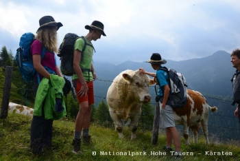 Nationalpark Hohe Tauern - Kärnten